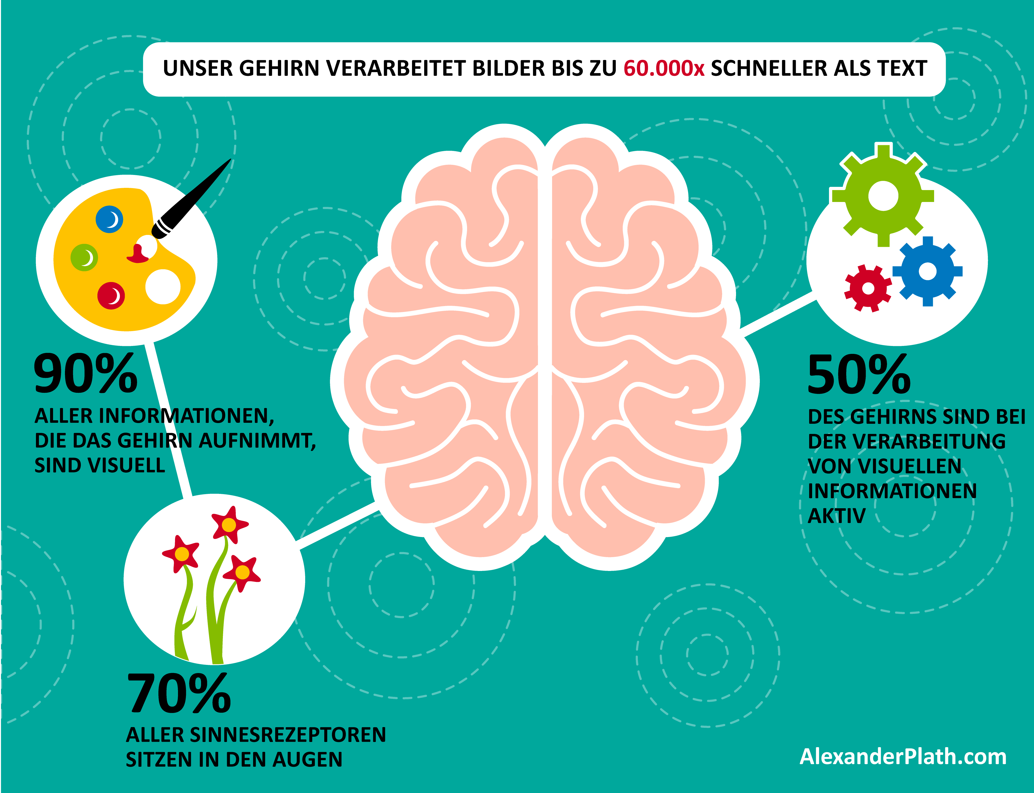 Grafik zur Bildverarbeitung im Gehirn
